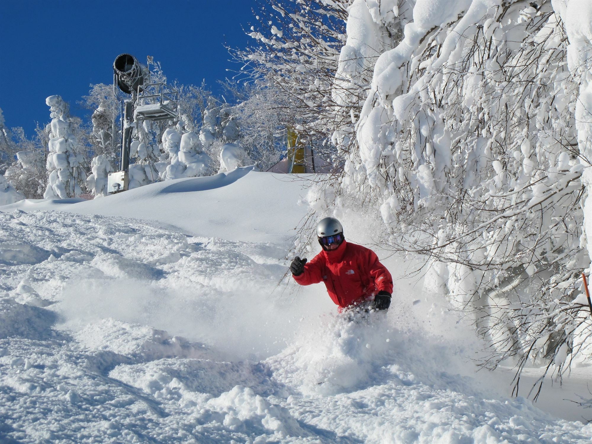 Seneca - Snowshoe Exteriör bild