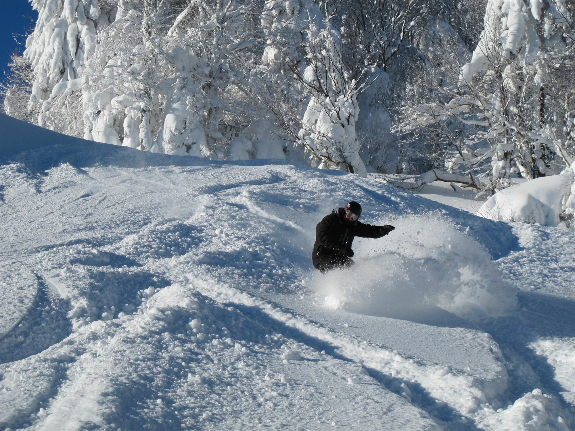 Seneca - Snowshoe Exteriör bild